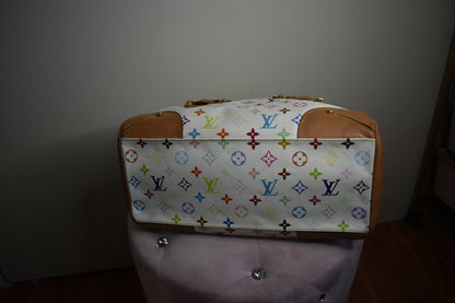 Louis Vuitton Multicolor Tote Bag